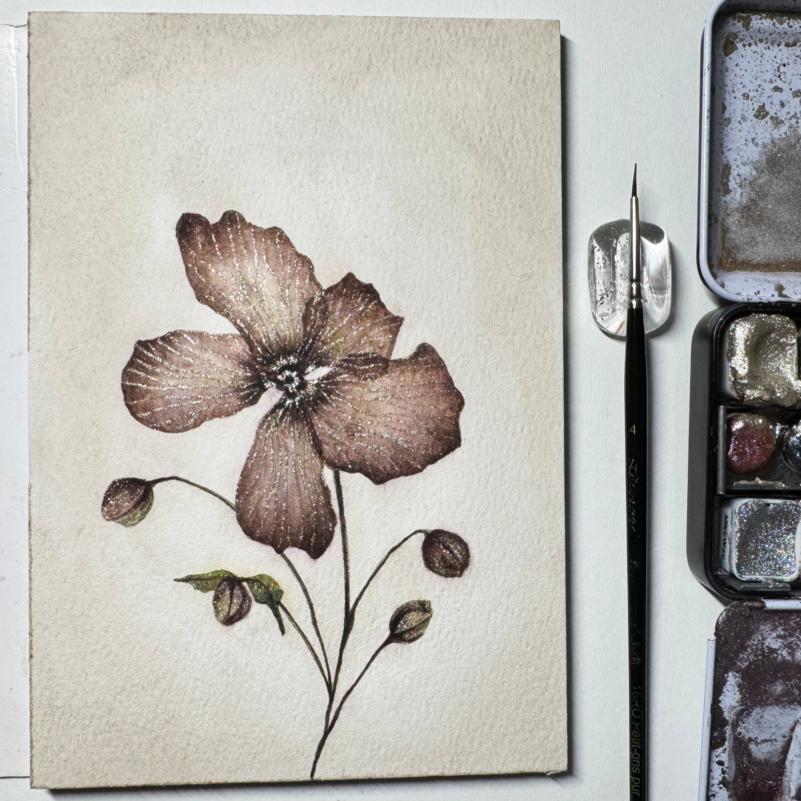 Pink Anemone - Image 6