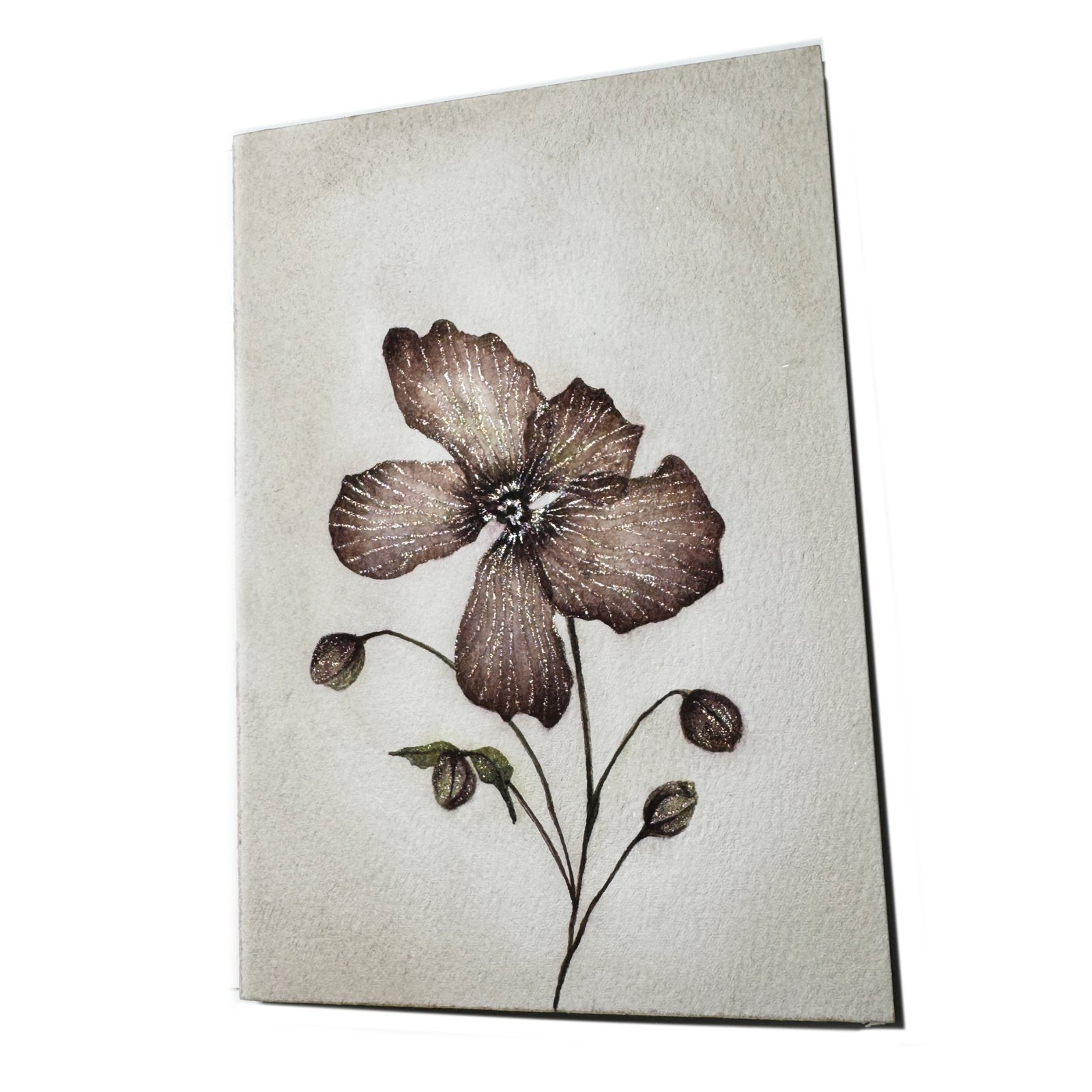 Pink Anemone - Image 5