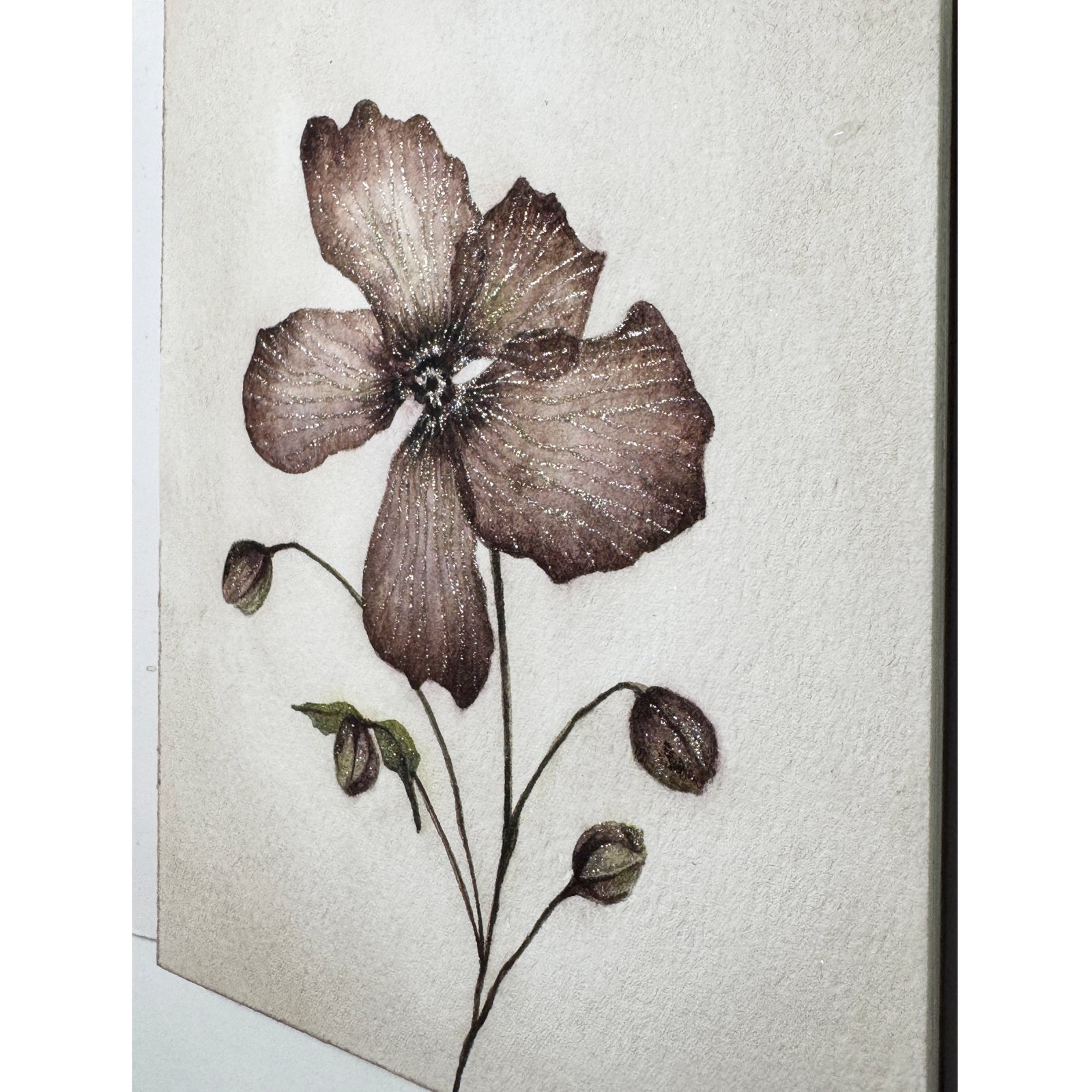 Pink Anemone - Image 7