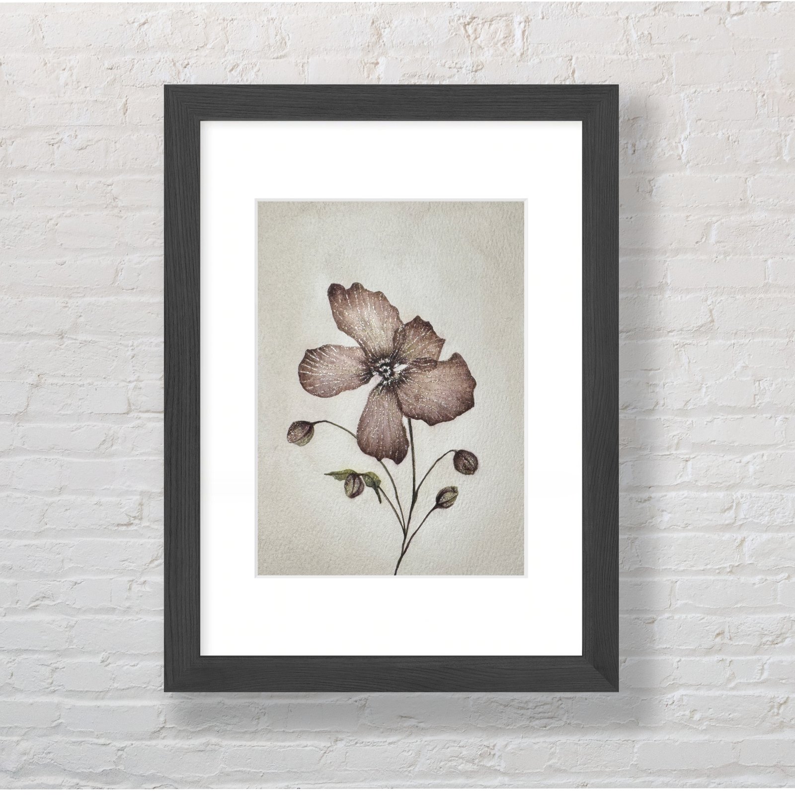 Pink Anemone - Image 2