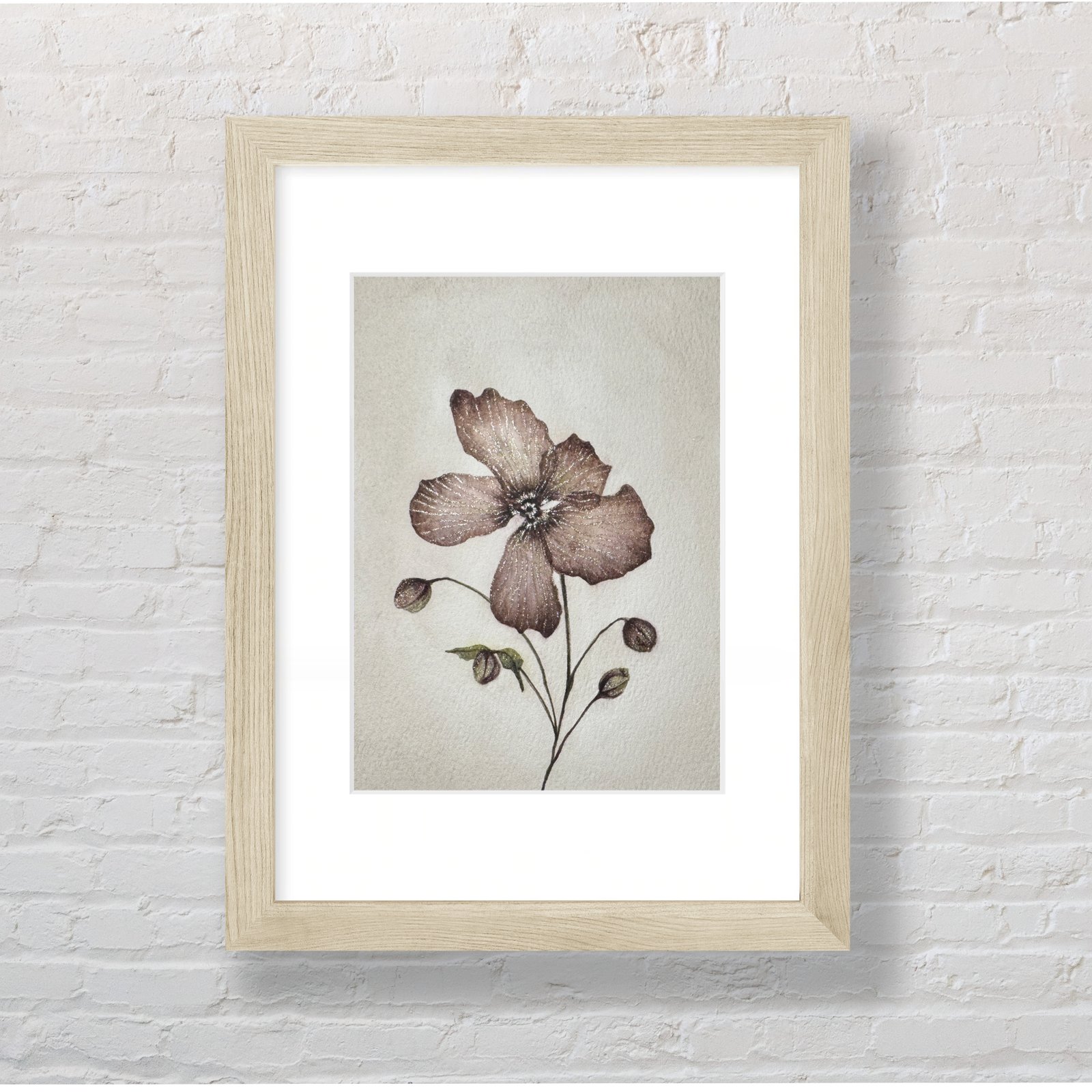 Pink Anemone - Image 3