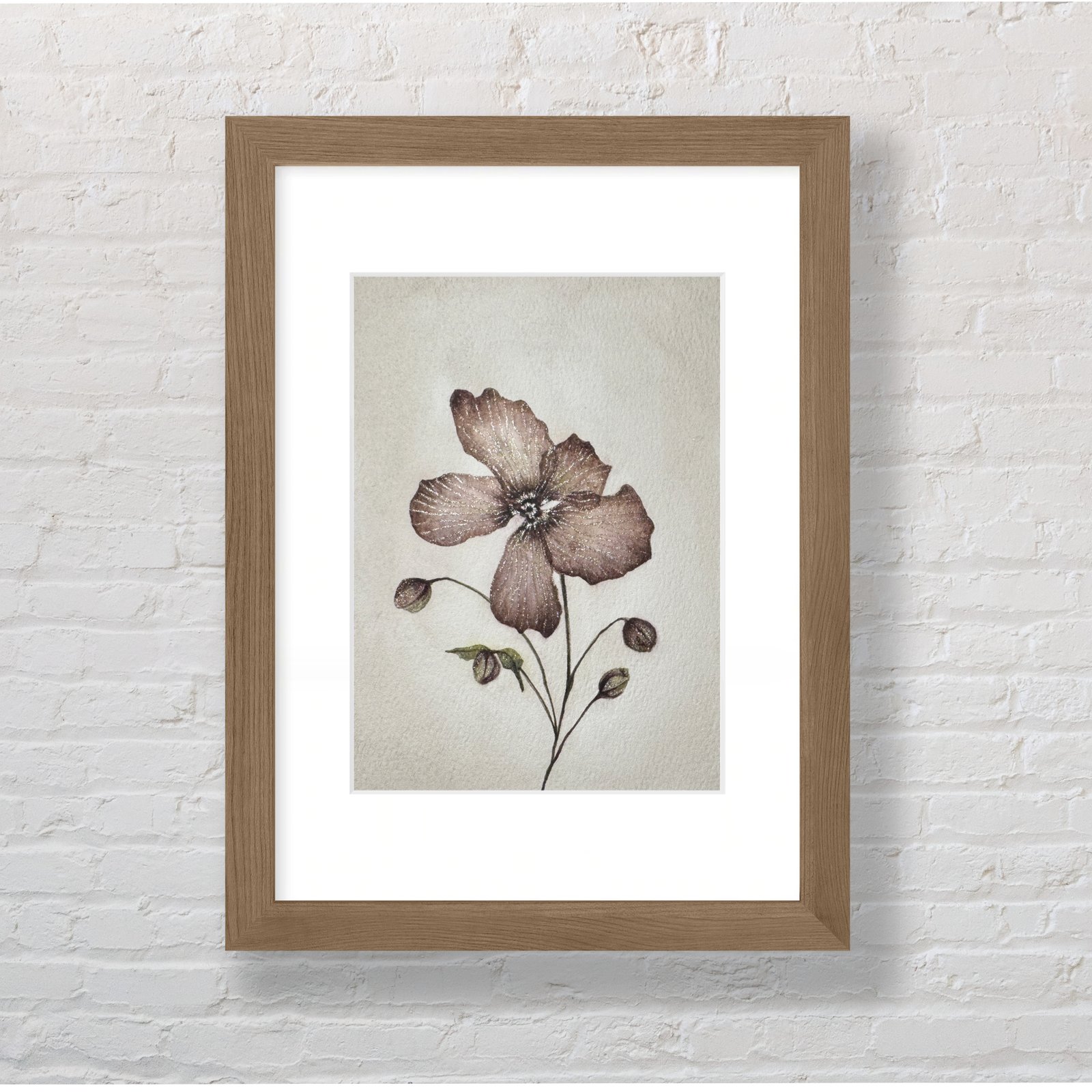 Pink Anemone - Image 4