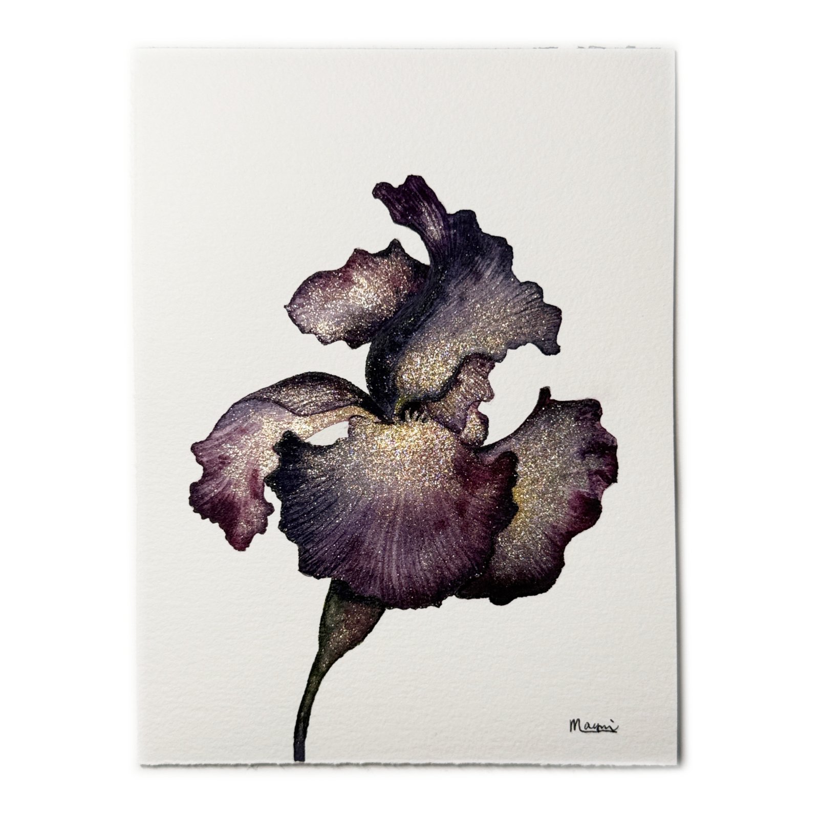 Iris - Image 5