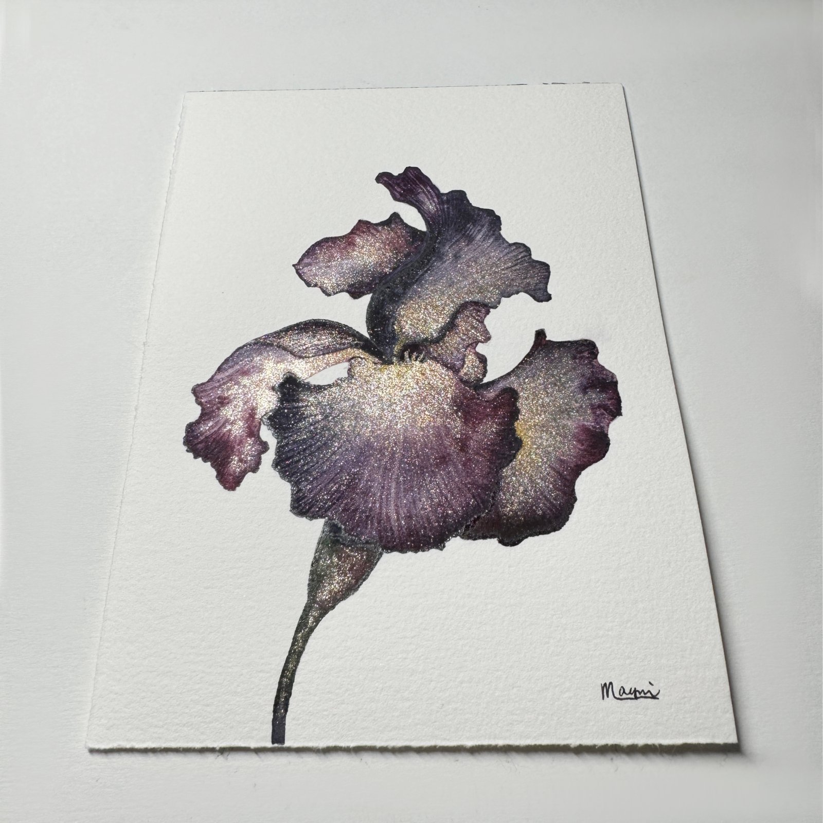 Iris - Image 6