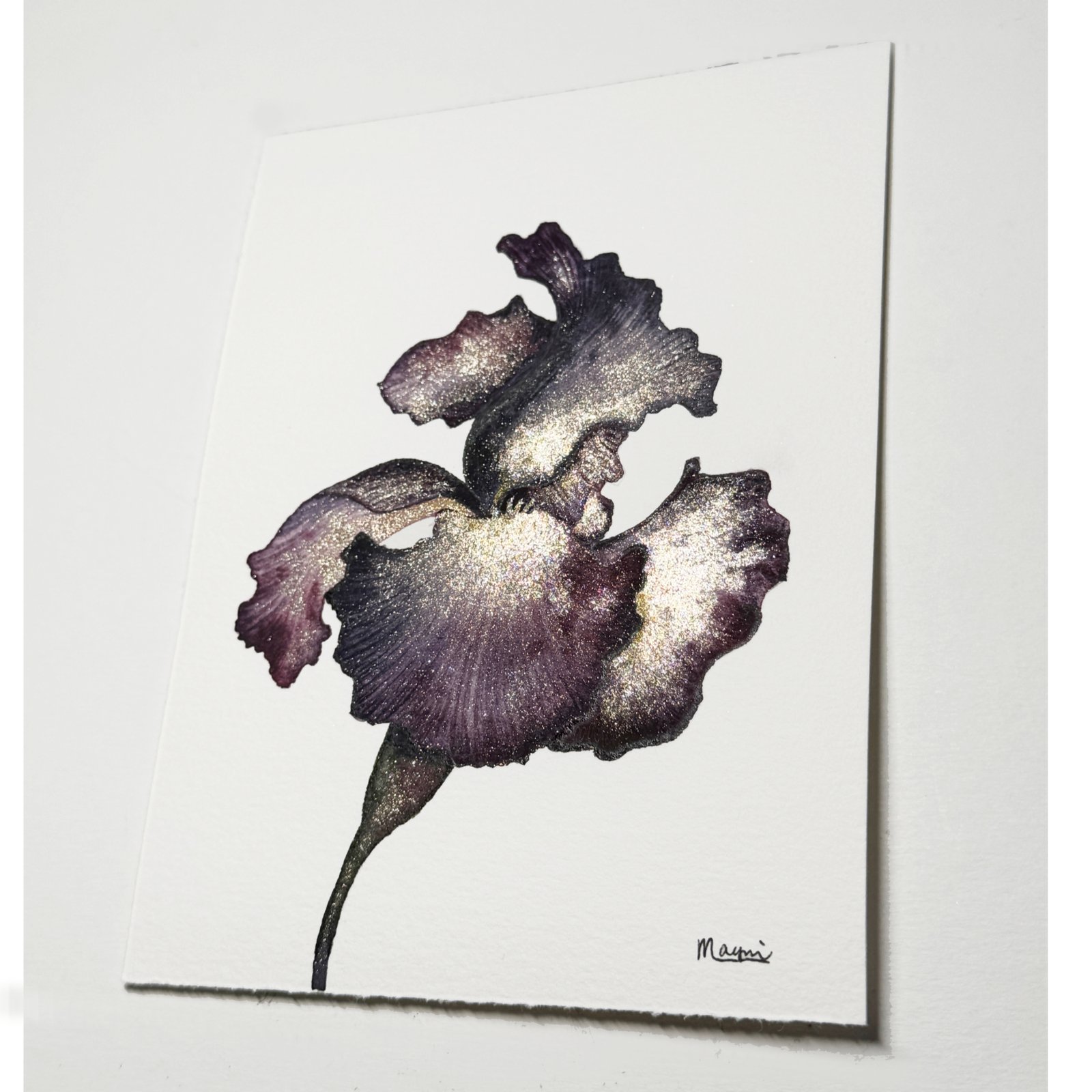 Iris - Image 4