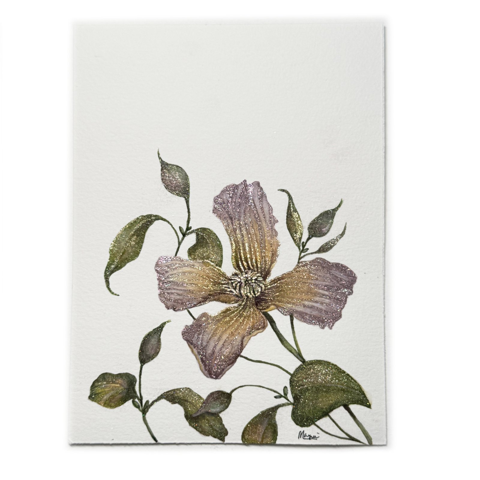 Clematis - Image 7
