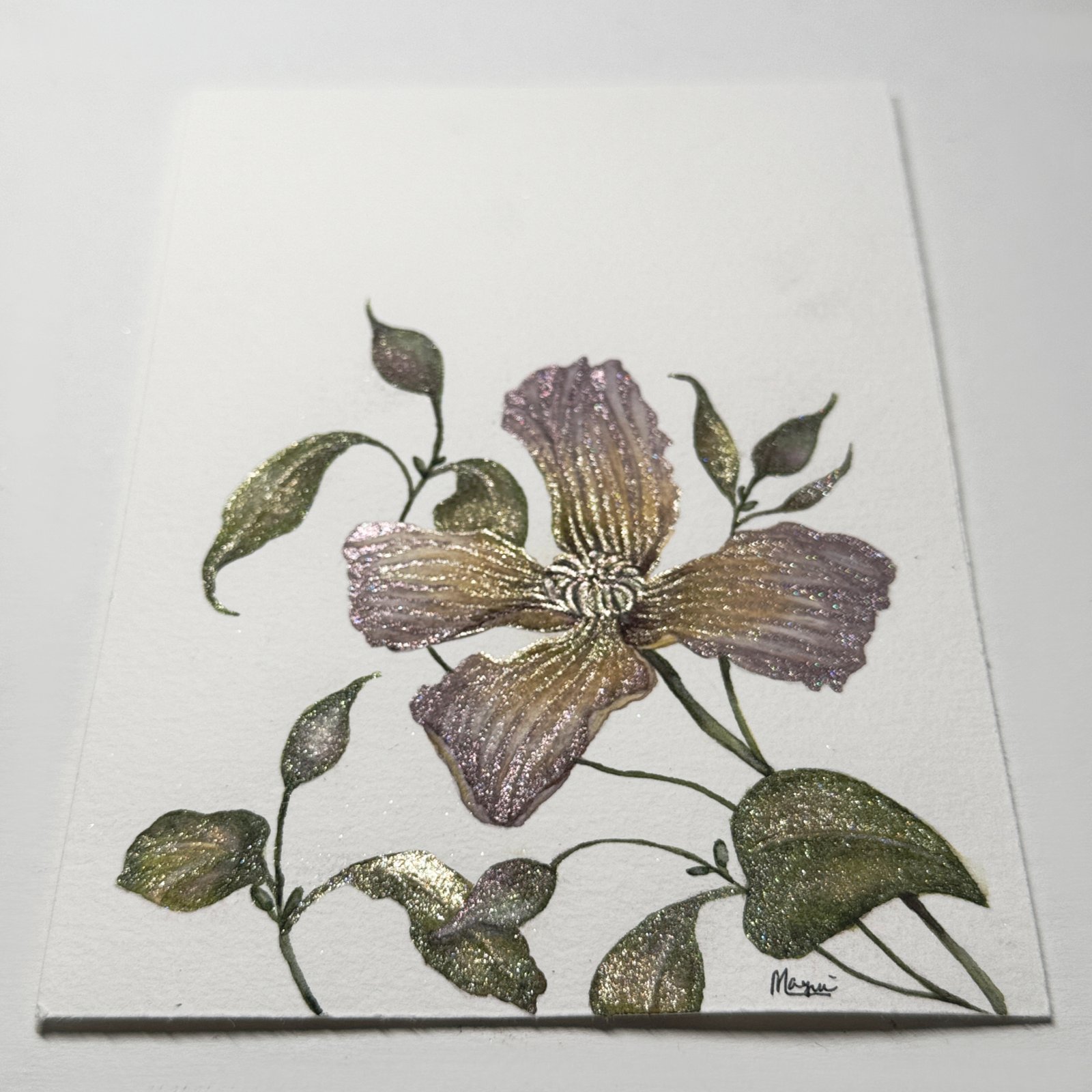 Clematis - Image 5