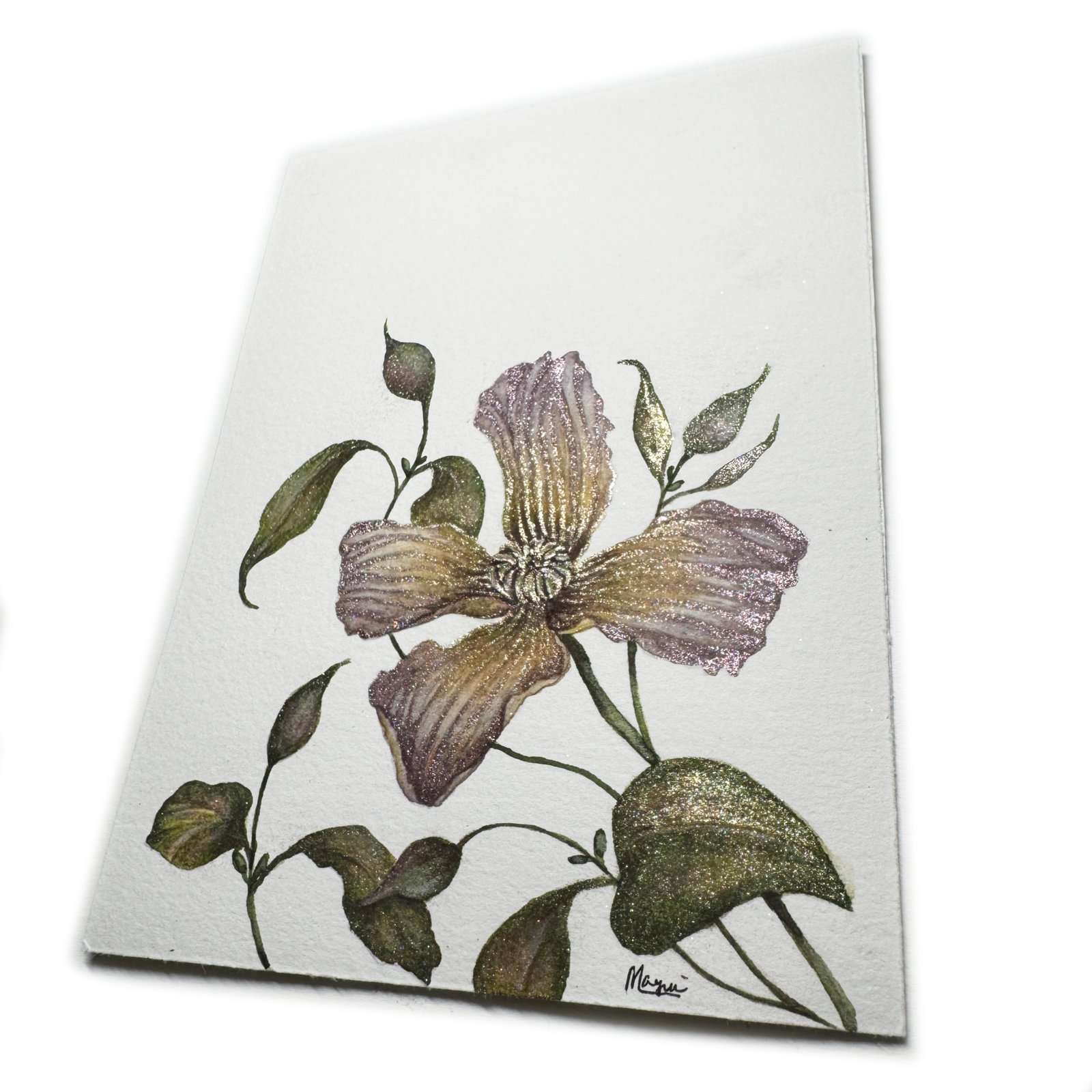 Clematis - Image 4